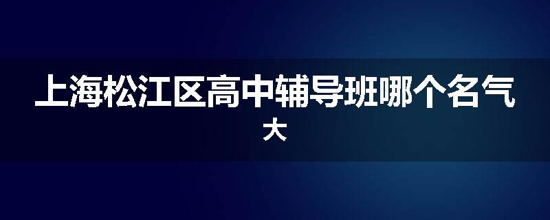 上海松江区高中辅导班哪个名气大