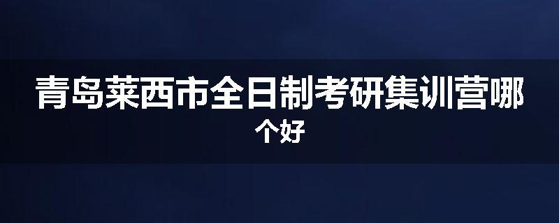 青岛莱西市全日制考研集训营哪个好