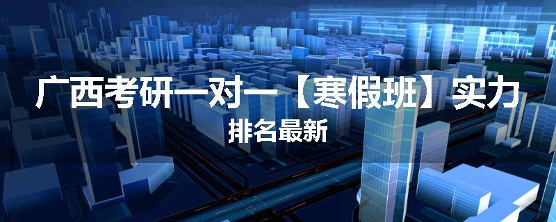 广西考研一对一【寒假班】实力排名最新