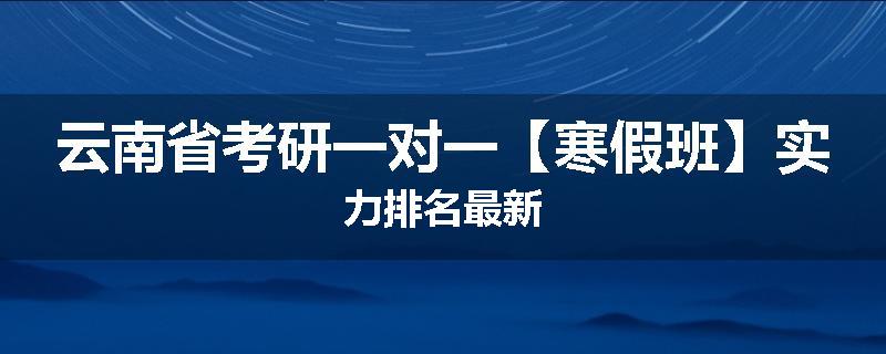 云南省考研一对一【寒假班】实力排名最新