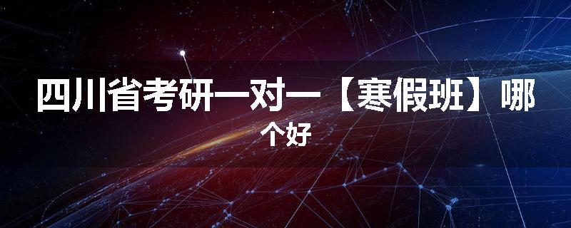 四川省考研一对一【寒假班】哪个好