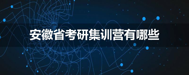 安徽省考研集训营有哪些