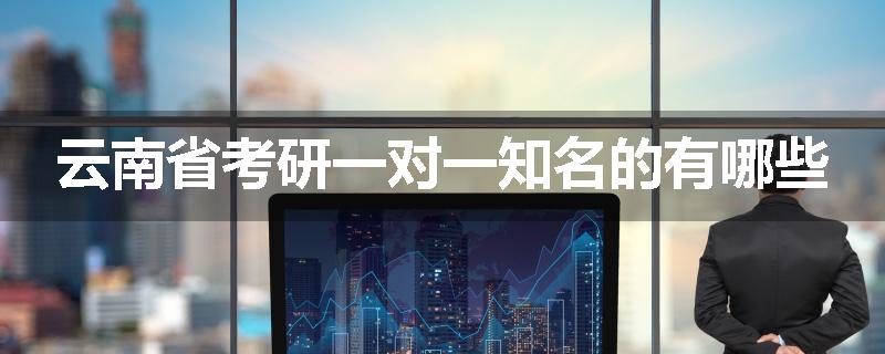 云南省考研一对一知名的有哪些