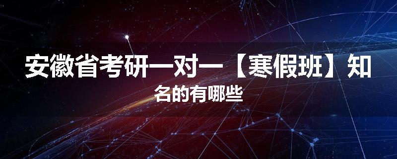 安徽省考研一对一【寒假班】知名的有哪些