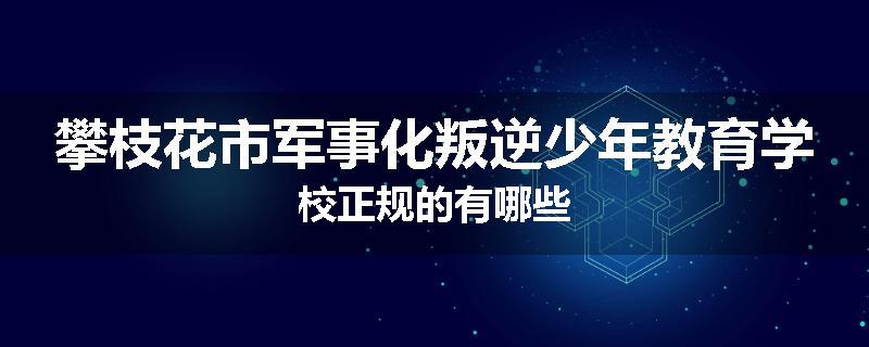 攀枝花市军事化叛逆少年教育学校正规的有哪些