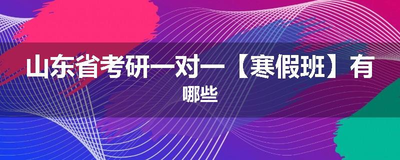 山东省考研一对一【寒假班】有哪些