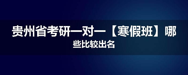 贵州省考研一对一【寒假班】哪些比较出名