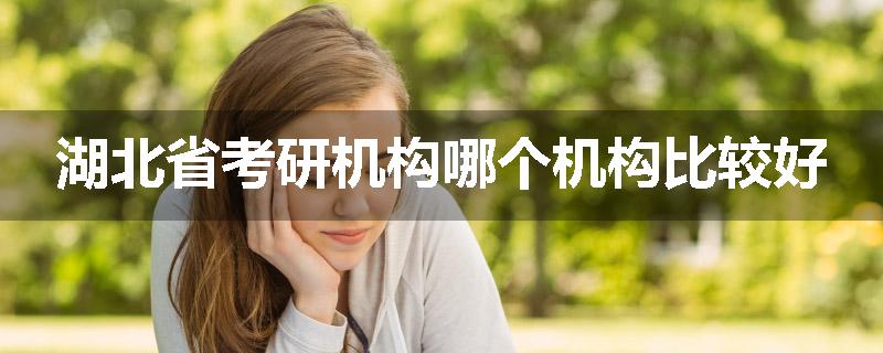 湖北省考研机构哪个机构比较好