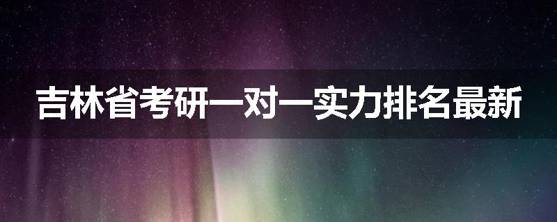 吉林省考研一对一实力排名最新
