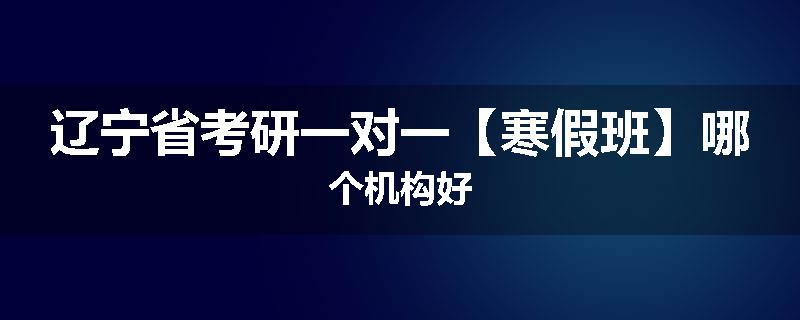 辽宁省考研一对一【寒假班】哪个机构好