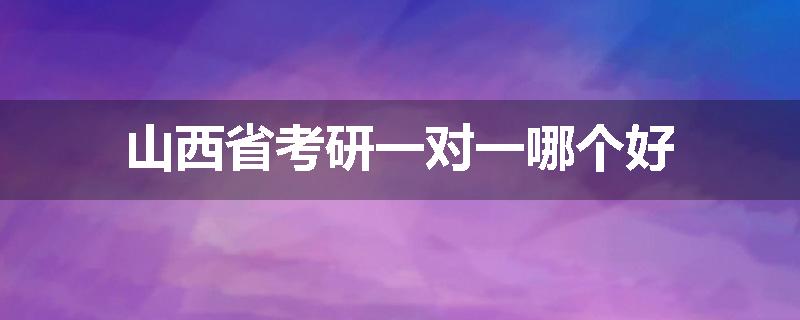 山西省考研一对一哪个好