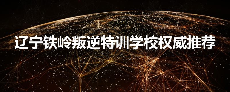 辽宁铁岭叛逆特训学校权威推荐