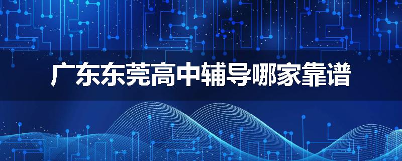 广东东莞高中辅导哪家靠谱