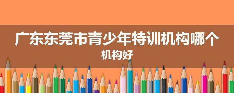 广东东莞市青少年特训机构哪个机构好