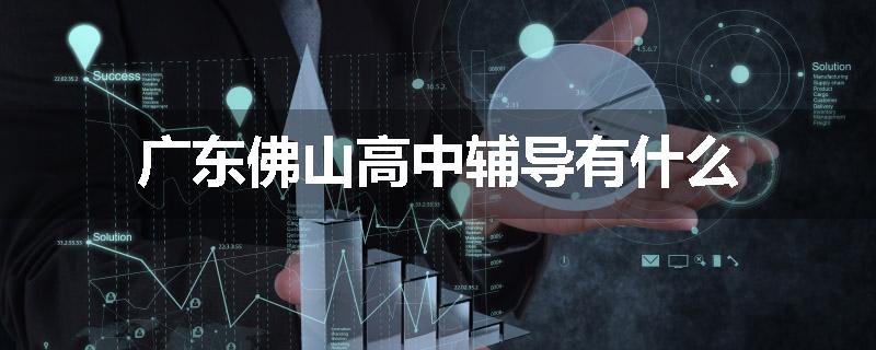广东佛山高中辅导有什么
