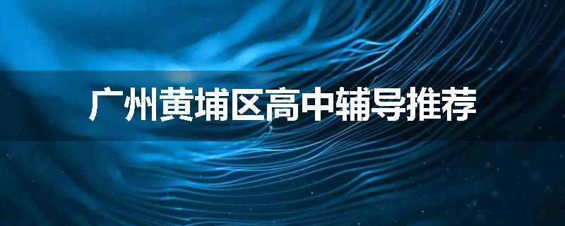 广州黄埔区高中辅导推荐