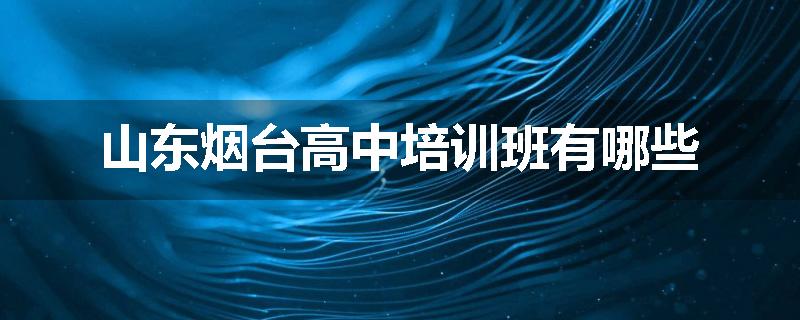 山东烟台高中培训班有哪些