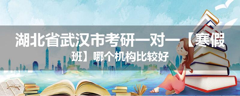 湖北省武汉市考研一对一【寒假班】哪个机构比较好