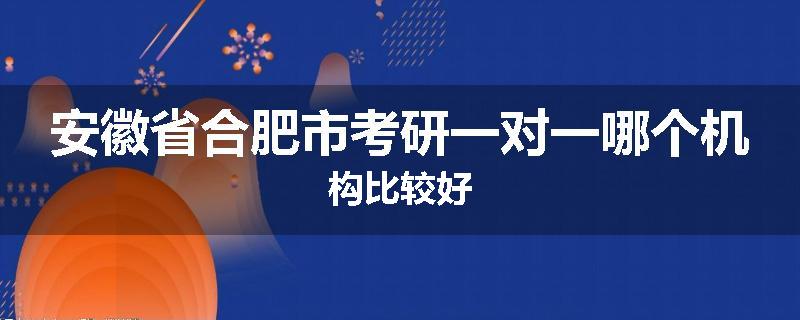 安徽省合肥市考研一对一哪个机构比较好
