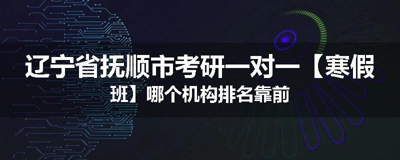 辽宁省抚顺市考研一对一【寒假班】哪个机构排名靠前