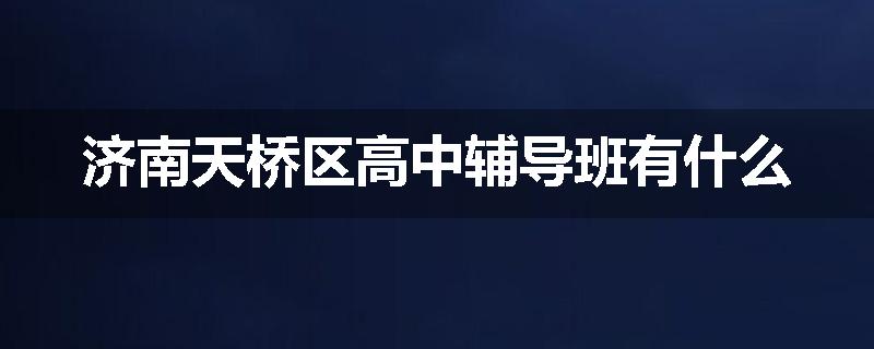 济南天桥区高中辅导班有什么