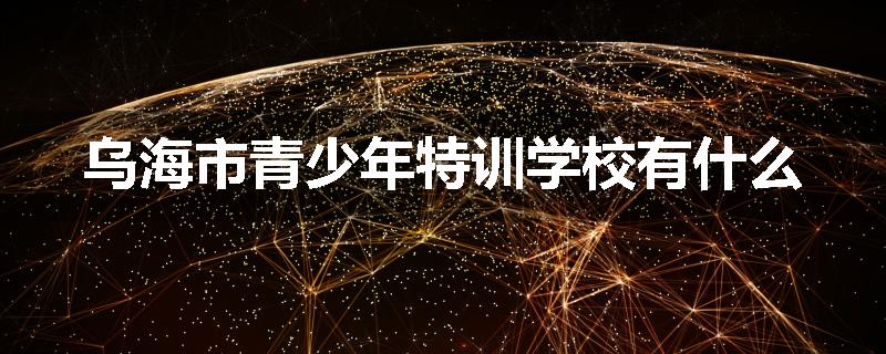 乌海市青少年特训学校有什么