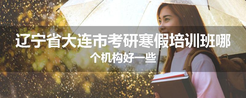 辽宁省大连市考研寒假培训班哪个机构好一些