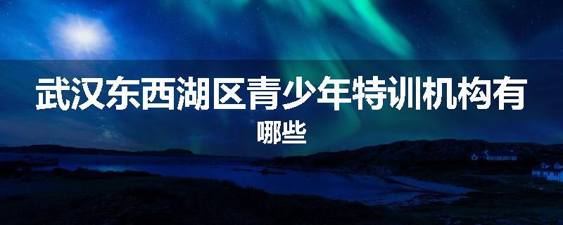 武汉东西湖区青少年特训机构有哪些