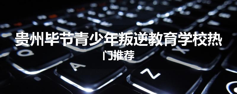 贵州毕节青少年叛逆教育学校热门推荐