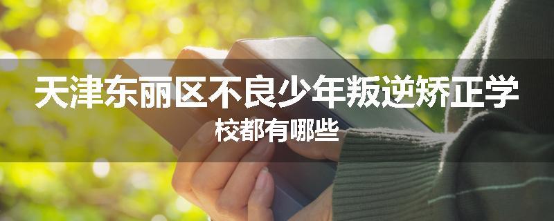 天津东丽区不良少年叛逆矫正学校都有哪些