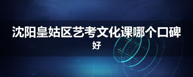 沈阳皇姑区艺考文化课哪个口碑好