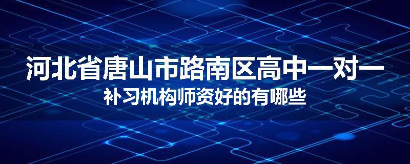 河北省唐山市路南区高中一对一补习机构师资好的有哪些