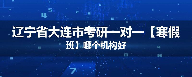 辽宁省大连市考研一对一【寒假班】哪个机构好