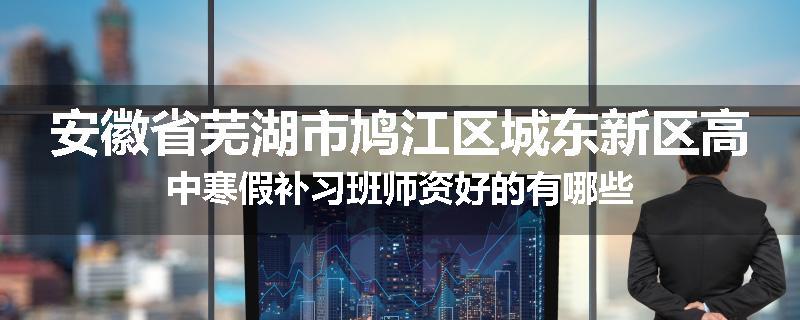 安徽省芜湖市鸠江区城东新区高中寒假补习班师资好的有哪些