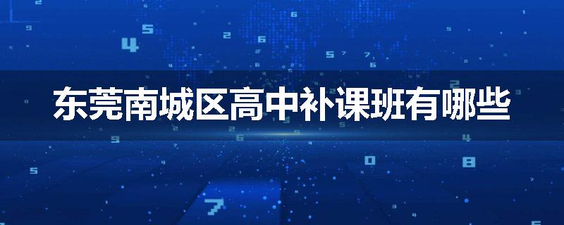 东莞南城区高中补课班有哪些