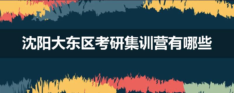 沈阳大东区考研集训营有哪些