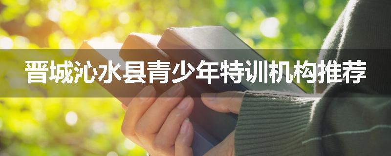 晋城沁水县青少年特训机构推荐