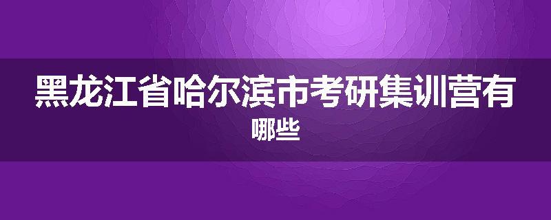 黑龙江省哈尔滨市考研集训营有哪些