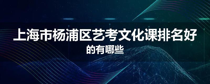 上海市杨浦区艺考文化课排名好的有哪些
