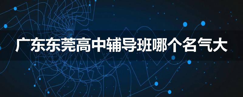 广东东莞高中辅导班哪个名气大