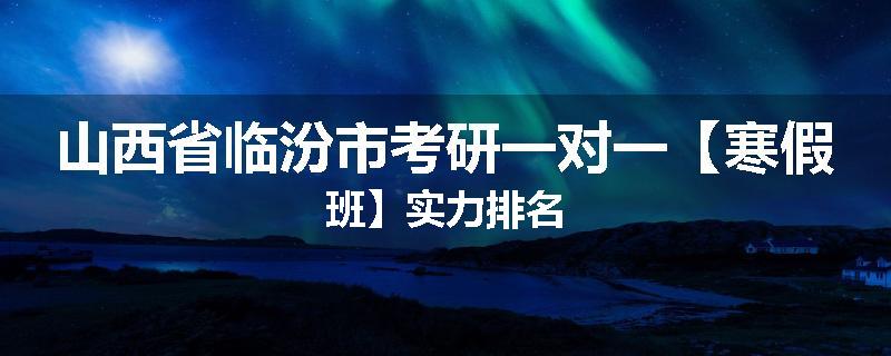 山西省临汾市考研一对一【寒假班】实力排名