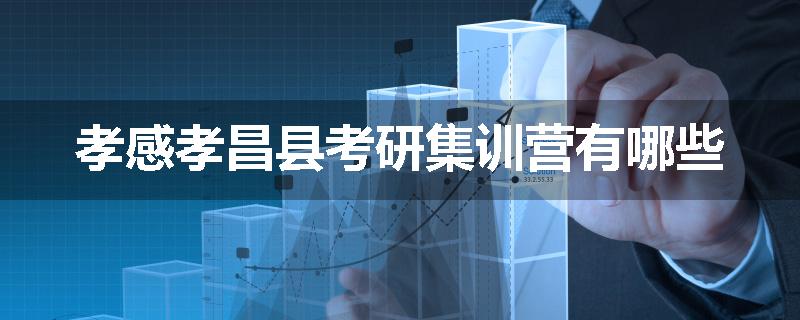 孝感孝昌县考研集训营有哪些