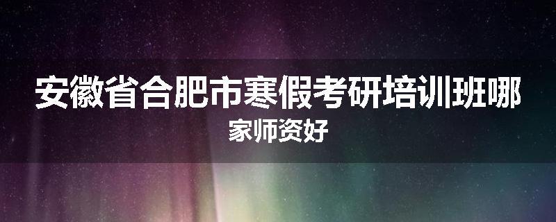 安徽省合肥市寒假考研培训班哪家师资好