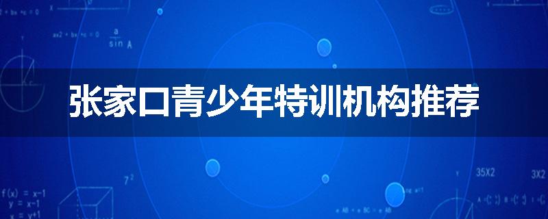 张家口青少年特训机构推荐