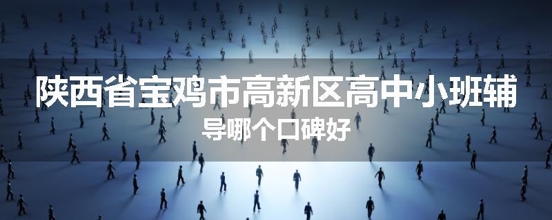 陕西省宝鸡市高新区高中小班辅导哪个口碑好