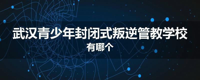 武汉青少年封闭式叛逆管教学校有哪个