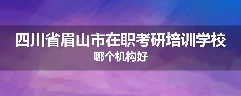 四川省眉山市在职考研培训学校哪个机构好