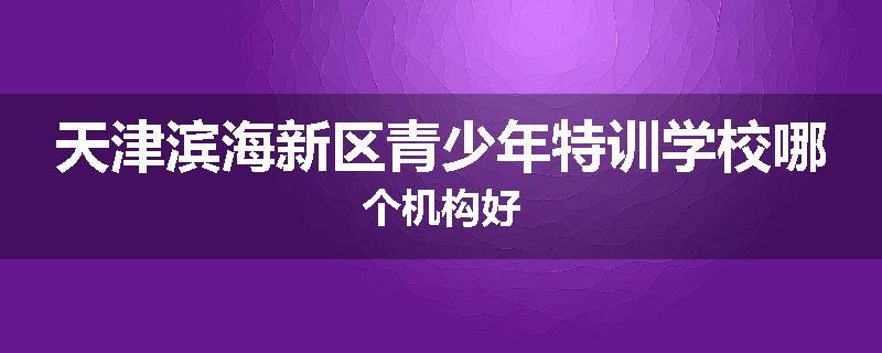 天津滨海新区青少年特训学校哪个机构好