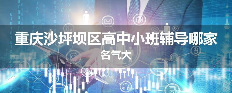 重庆沙坪坝区高中小班辅导哪家名气大