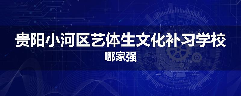 贵阳小河区艺体生文化补习学校哪家强